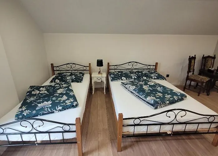 Gościnne Baśniowy Dom Apartament *